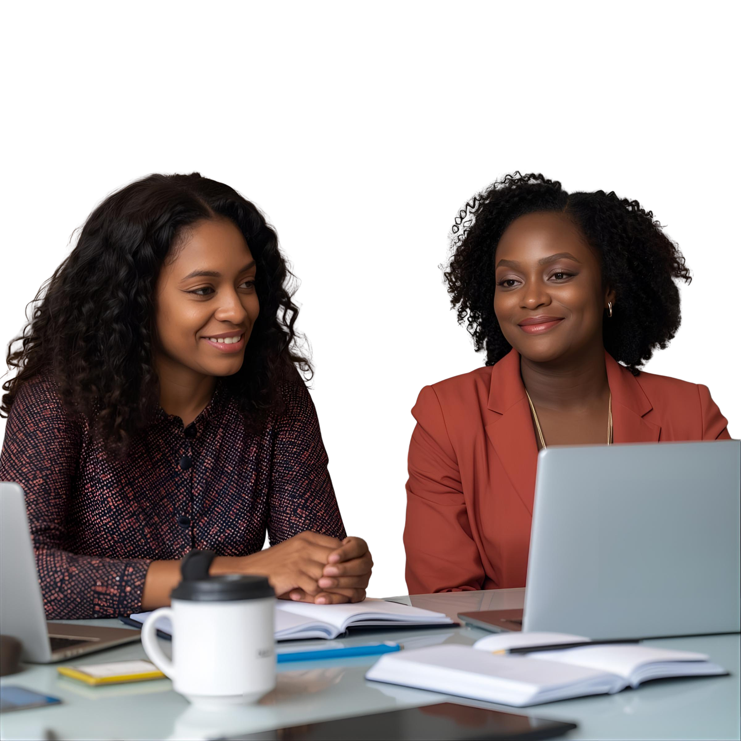 Two professional women mentoring each other over laptops